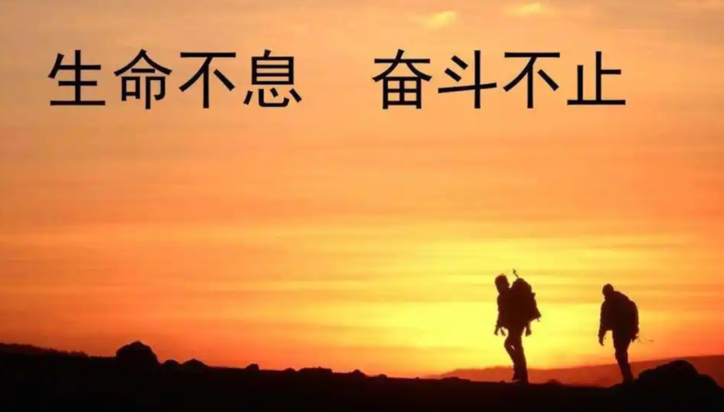 招募站长 月入5W+，你也可以！178创业网-专注分享网络创业项目落地实操课程 – 全网首发_高质量创业项目输出178创业网