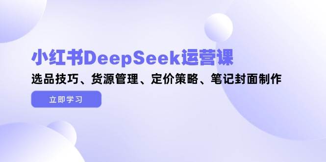小红书DeepSeek运营课，选品技巧、货源管理、定价策略、笔记封面制作178创业网-专注分享网络创业项目落地实操课程 – 全网首发_高质量创业项目输出178创业网