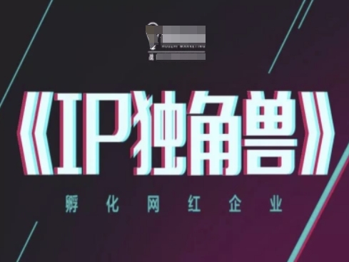 IP独角兽，孵化网红企业，ip教程178创业网-专注分享网络创业项目落地实操课程 – 全网首发_高质量创业项目输出178创业网