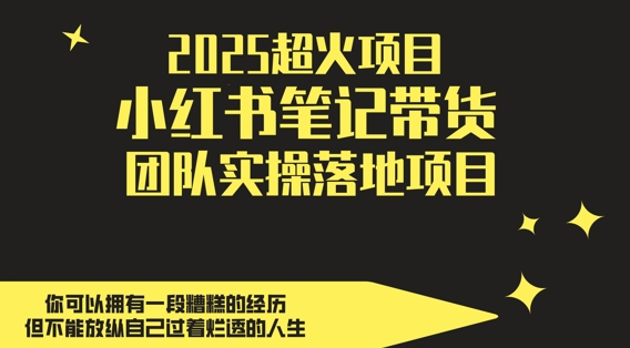 2025超火项目，副业最佳选择，小红书笔记带货团队实操落地项目，，轻松日入5张178创业网-专注分享网络创业项目落地实操课程 – 全网首发_高质量创业项目输出178创业网