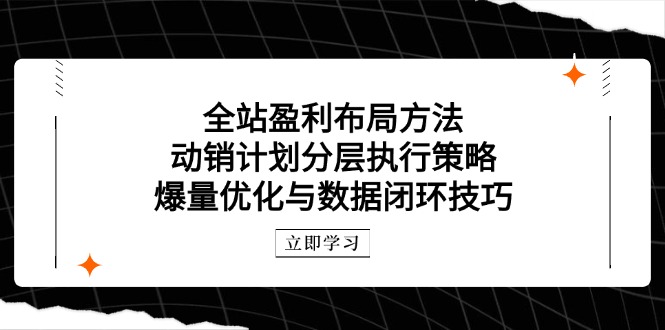 全站盈利布局方法：动销计划分层执行策略，爆量优化与数据闭环技巧178创业网-专注分享网络创业项目落地实操课程 – 全网首发_高质量创业项目输出178创业网