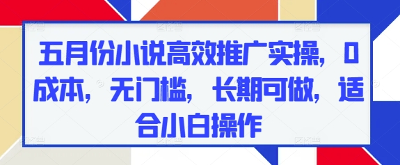 五月份小说高效推广实操，0成本，无门槛，长期可做，适合小白操作178创业网-专注分享网络创业项目落地实操课程 – 全网首发_高质量创业项目输出178创业网