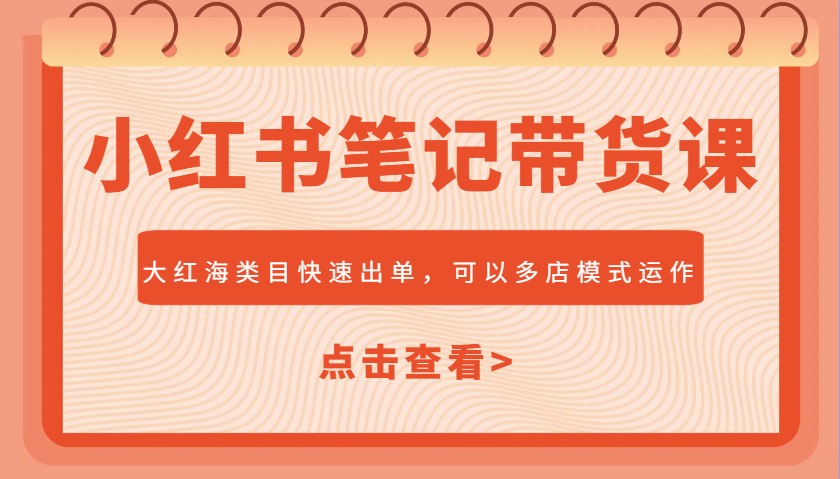 小红书笔记带货课，大红海类目快速出单，市场大，可以多店模式运作(更新)178创业网-专注分享网络创业项目落地实操课程 – 全网首发_高质量创业项目输出178创业网