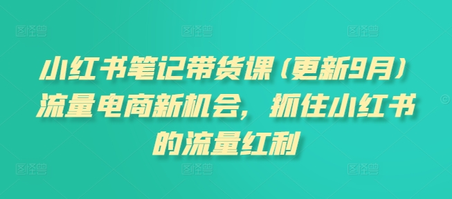 小红书笔记带货课(更新25年4月)流量电商新机会，抓住小红书的流量红利178创业网-专注分享网络创业项目落地实操课程 – 全网首发_高质量创业项目输出178创业网