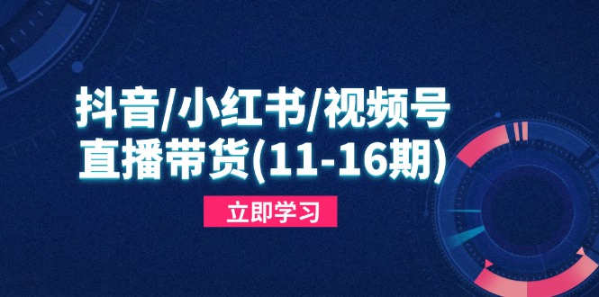抖音/小红书/视频号/直播带货(11-16期178创业网-专注分享网络创业项目落地实操课程 – 全网首发_高质量创业项目输出178创业网