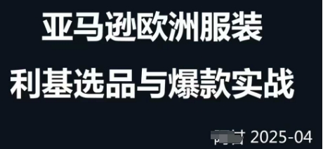 跨境电商选品案例24-25年，聚焦跨境电商选品策略与运营优化，助力卖家挖掘蓝海市场178创业网-专注分享网络创业项目落地实操课程 – 全网首发_高质量创业项目输出178创业网