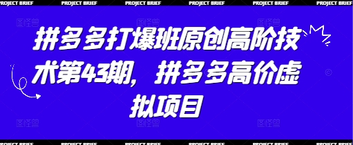 拼多多打爆班原创高阶技术第43期，拼多多高价虚拟项目178创业网-专注分享网络创业项目落地实操课程 – 全网首发_高质量创业项目输出178创业网