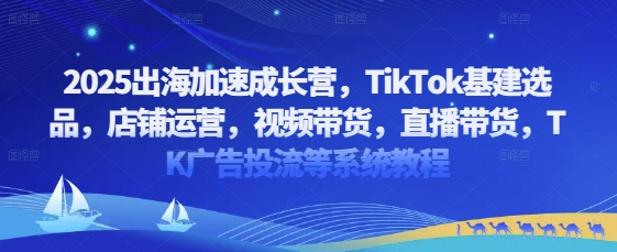2025出海加速成长营，TikTok基建选品，店铺运营，视频带货，直播带货，TK广告投流等系统教程178创业网-专注分享网络创业项目落地实操课程 – 全网首发_高质量创业项目输出178创业网