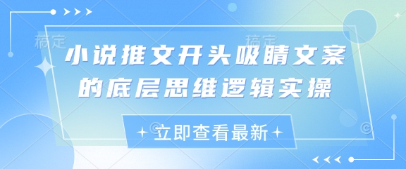 小说推文开头吸睛文案的底层思维逻辑实操178创业网-专注分享网络创业项目落地实操课程 – 全网首发_高质量创业项目输出178创业网