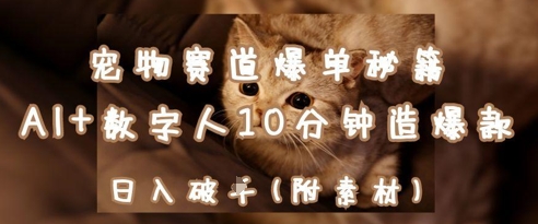 宠物赛道爆单秘籍：AI+数字人10分钟造爆款，日入1k178创业网-专注分享网络创业项目落地实操课程 – 全网首发_高质量创业项目输出178创业网